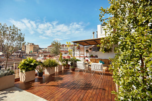 Plantas en macetas de distintos tamaños en terraza